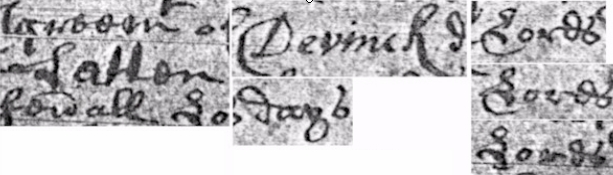 Susana Datlen Detail